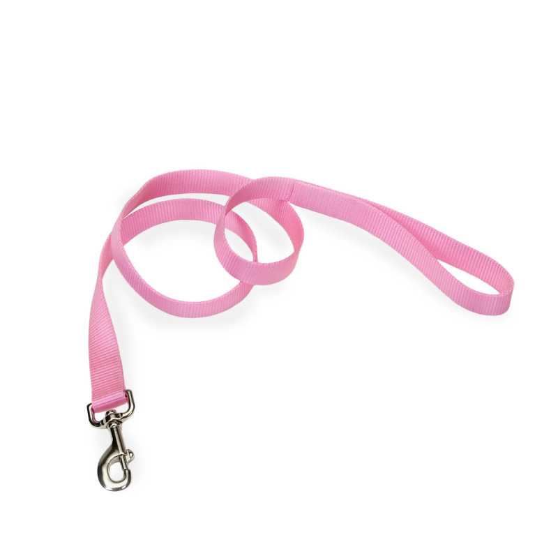 Single pink nylon leash