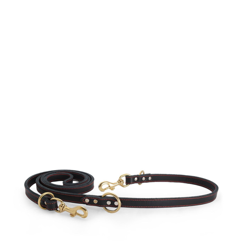 Multifunctional black leather leash