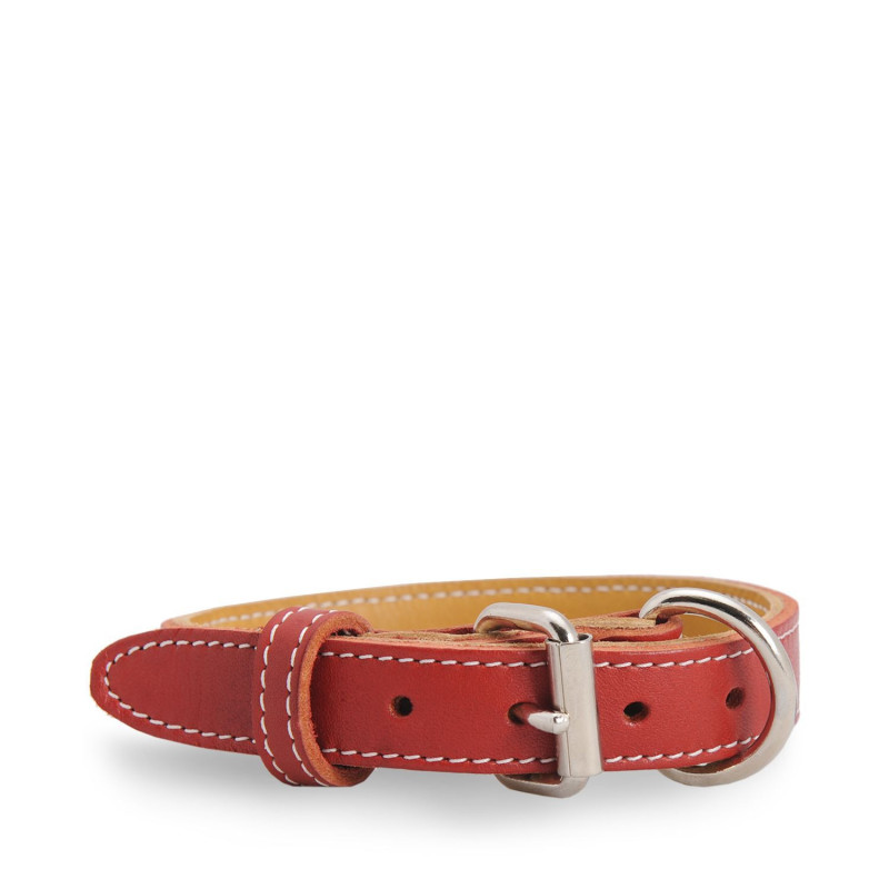 Red stitched leather collar