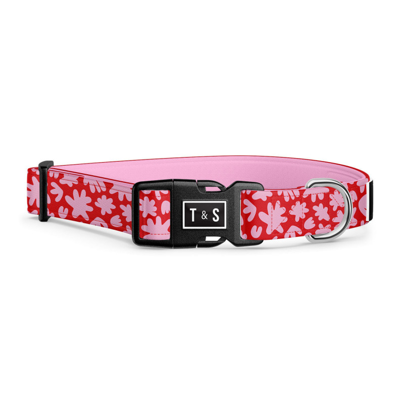 “Mila” adjustable collar for dogs