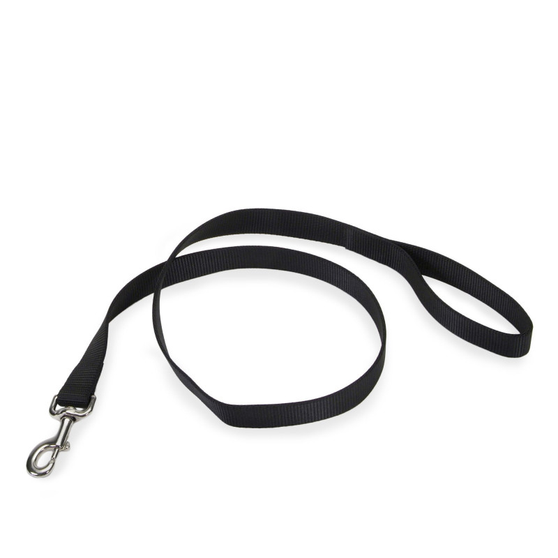 Simple black nylon leash