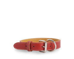 Red stitched leather collar