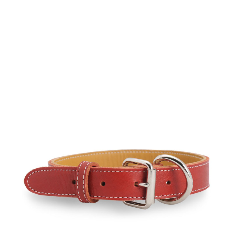 Red stitched leather collar