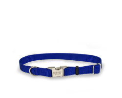 Blue nylon collar