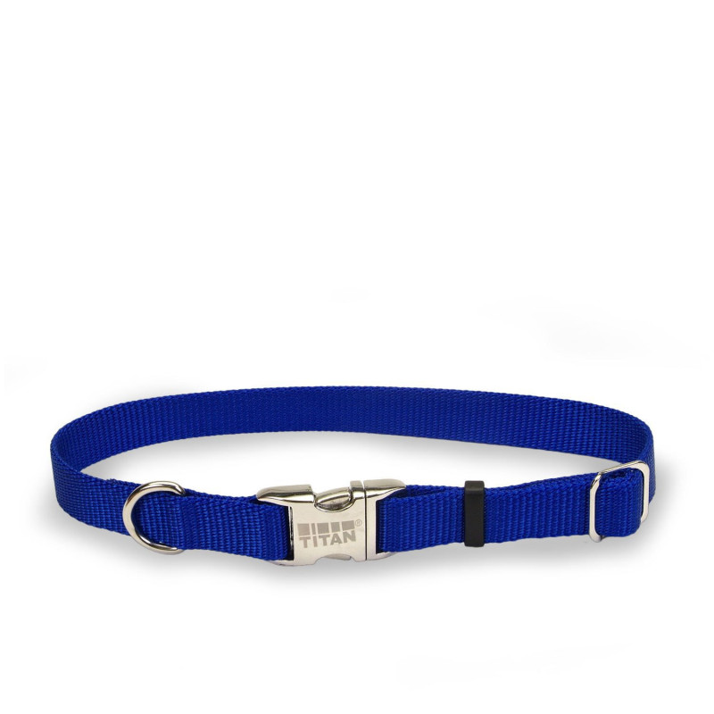 Blue nylon collar