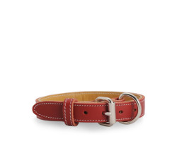 Red stitched leather collar