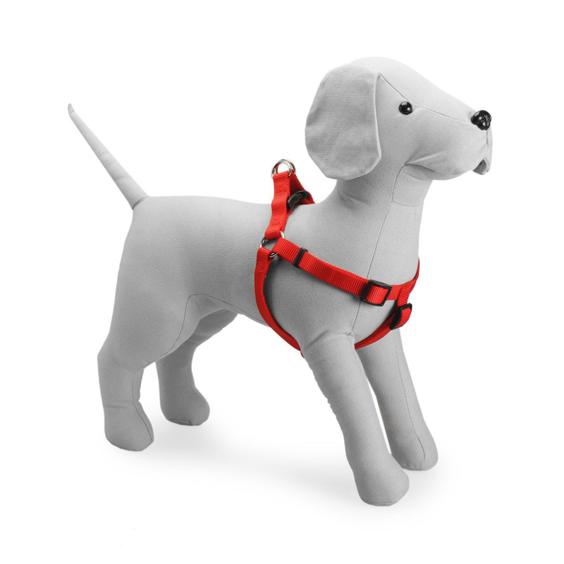 Red nylon harness