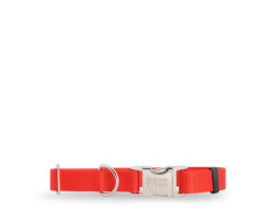 Red nylon collar