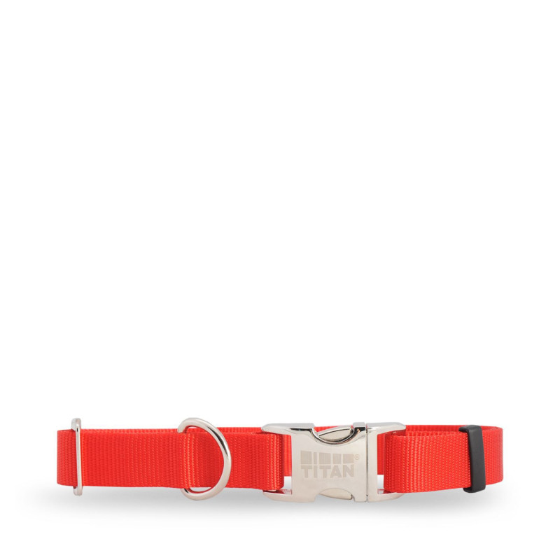 Red nylon collar