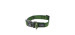 Adjustable dog collar, TP