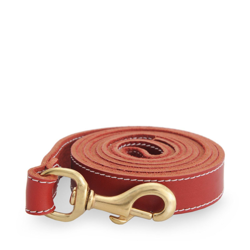 Red stitched leather leash