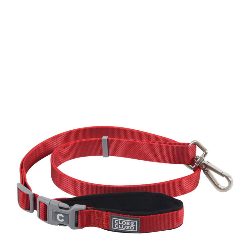 5 Way Leash for Dogs, Red