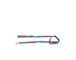 BeOneBreed Laisse silicone dégradé bleu et rose pou…