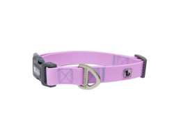 Orchid silicone collar for dogs