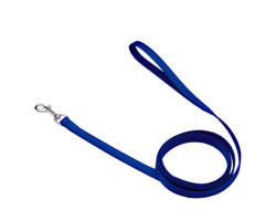 Blue single nylon leash