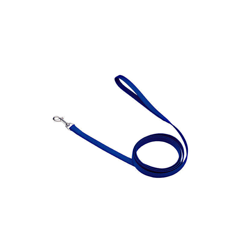 Blue single nylon leash