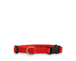 Red nylon collar