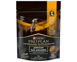 Canine supplements for joint support…