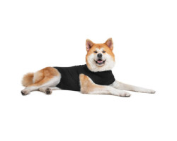 Convalescent clothing for dogs