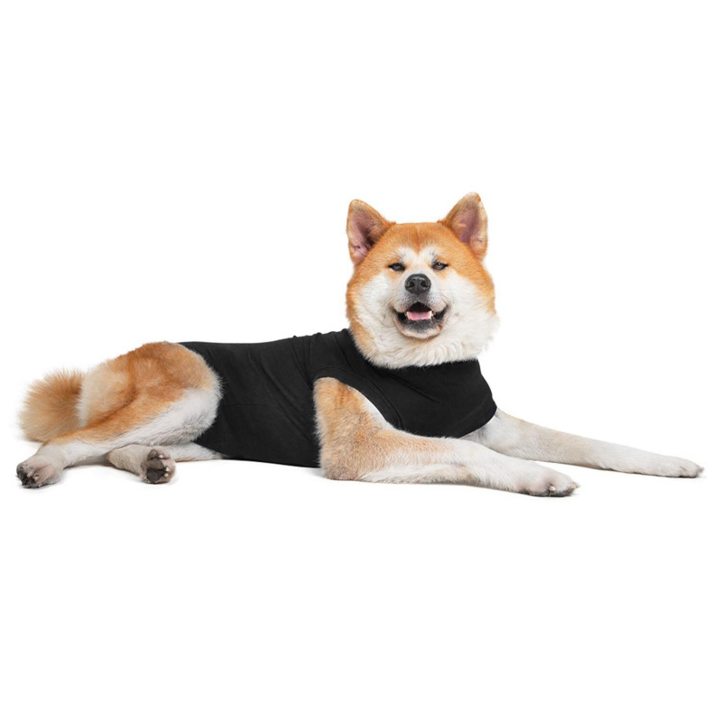 Convalescent clothing for dogs