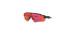 Radar EV Path Sunglasses - Matte Black - Prizm Trail Torch Lenses