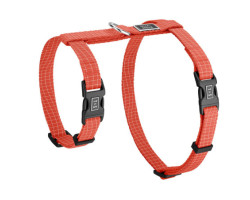 Tango harness for cats