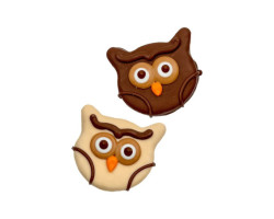 “You’re a Hoot” owl cookie...