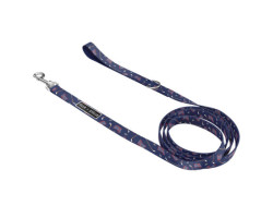 Stanley leash for dogs