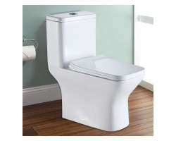 Toilette Monobloc en céramique à économie d'eau à Double Chasse (DK-ZBQ-12248A)