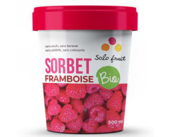 Solo Fruit / 500 ml Sorbets...