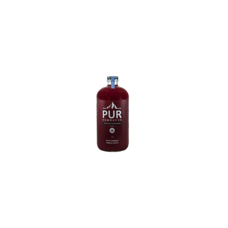 Pur Kombucha / 1 l Kombucha biologique - Fruits boréals