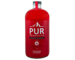 Pur Kombucha / 1 l Kombucha...