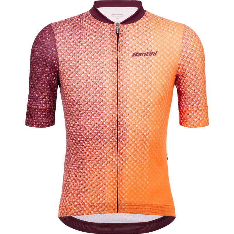 Paws Forma Short Sleeve Jersey - Men's