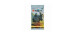 Magic the gathering -  draft paquet booster (anglais) (p15/b36/c6) -  dominaria united