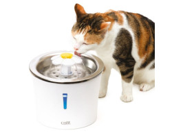 Abreuvoir avec fleur et dessus en acier inoxydable pour chats – Catit