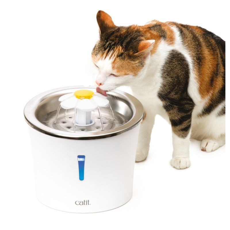 Abreuvoir avec fleur et dessus en acier inoxydable pour chats – Catit