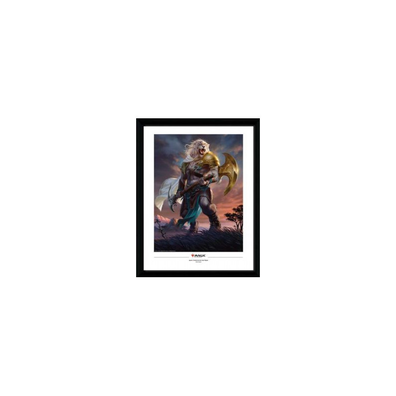 Magic: the gathering -  image encadrée - ajani, force de la bande (34.5 cm x 44.5 cm)