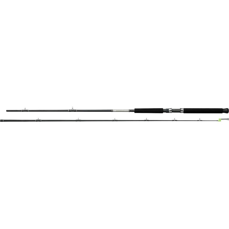 DAIWA Canne pour la pêche à la traîne Great Lake - 2 pcs