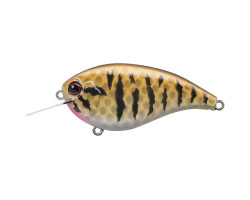 EVERGREEN Crankbait Flat...