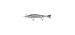 13 FISHING Jerkbait hybride Shadow Spin - 125 mm