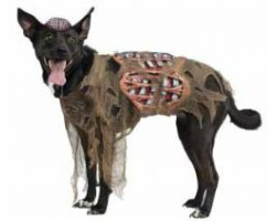 Party pooch -  costume de...