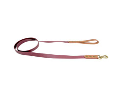 Luxury waterproof leash for dogs, Cab…