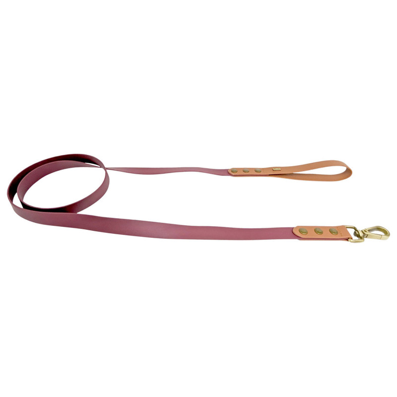 Luxury waterproof leash for dogs, Cab…