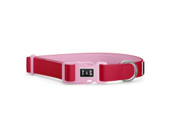 Adjustable collar for dogs