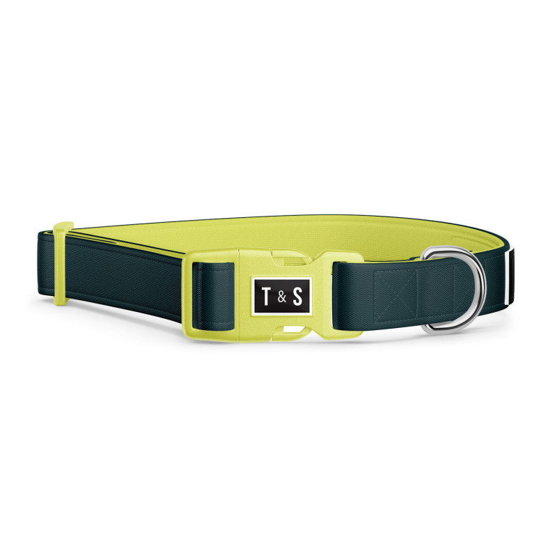 Adjustable collar for dogs