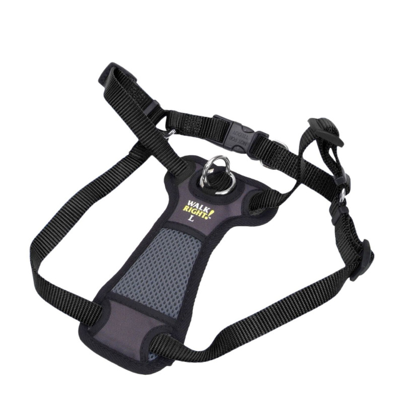 Padded harness for dogs