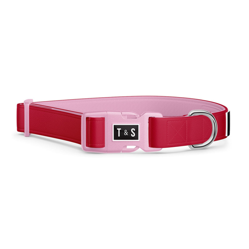 Adjustable collar for dogs