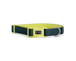 Adjustable collar for dogs