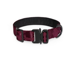 Utility Collar for Dogs