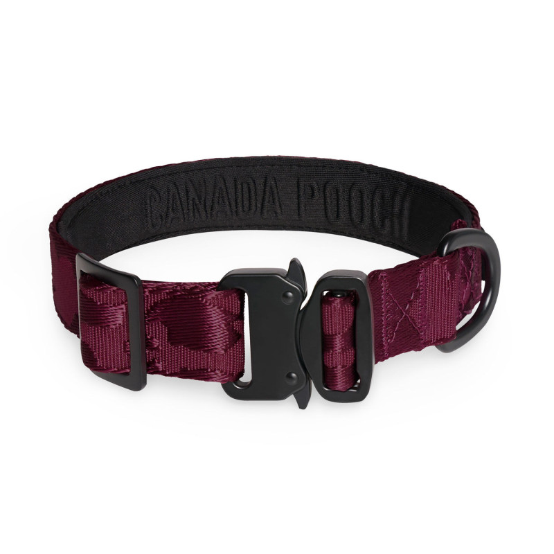 Canada Pooch Collier utilitaire pour chiens